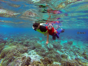 Snorkeling Pulau Menjangan, Bali