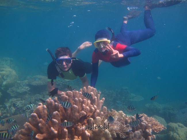 Snorkeling di Pulau Cemara Besar
