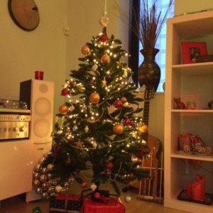 Pohon dan hadiah-hadiah dibawahnya. Rasanya saya ingin menjejerkan pot kemangi disana, kado untuk suami :D