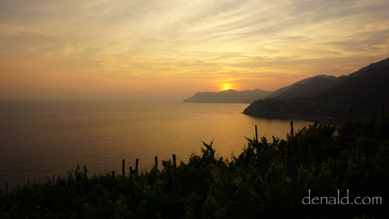 Menunggu senja di atas bukit diantara tanaman anggur di Manarola.