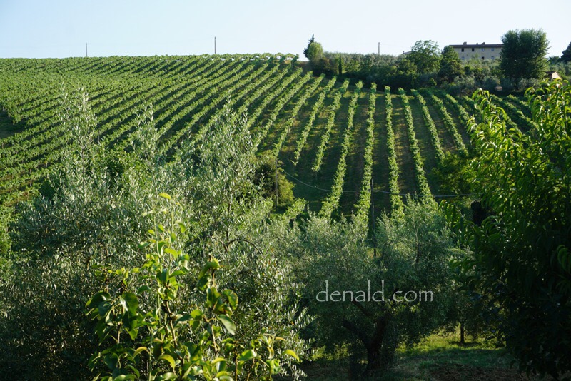 Pemandangan dari dalam kamar