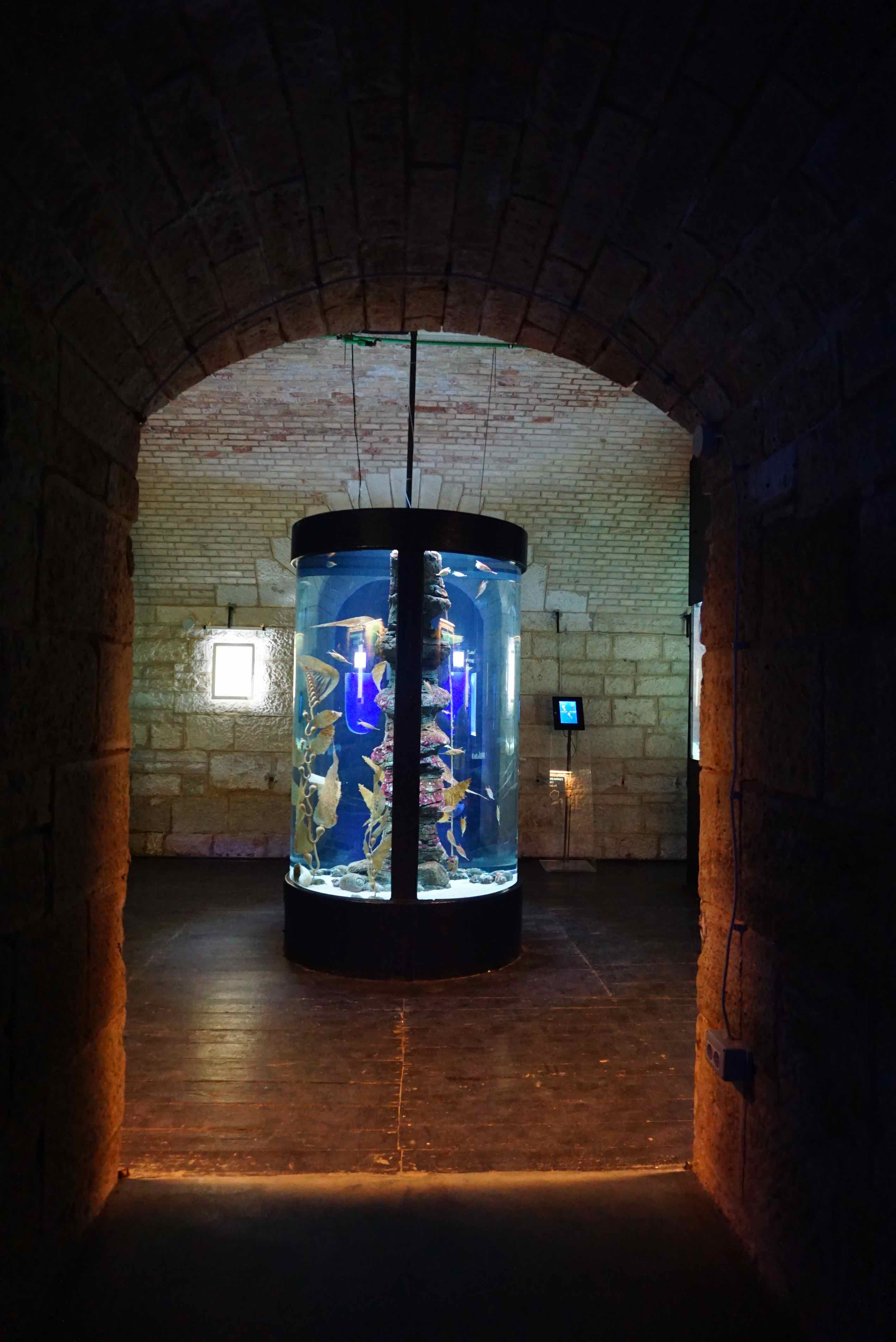 Pula Aquarium - Kroasia