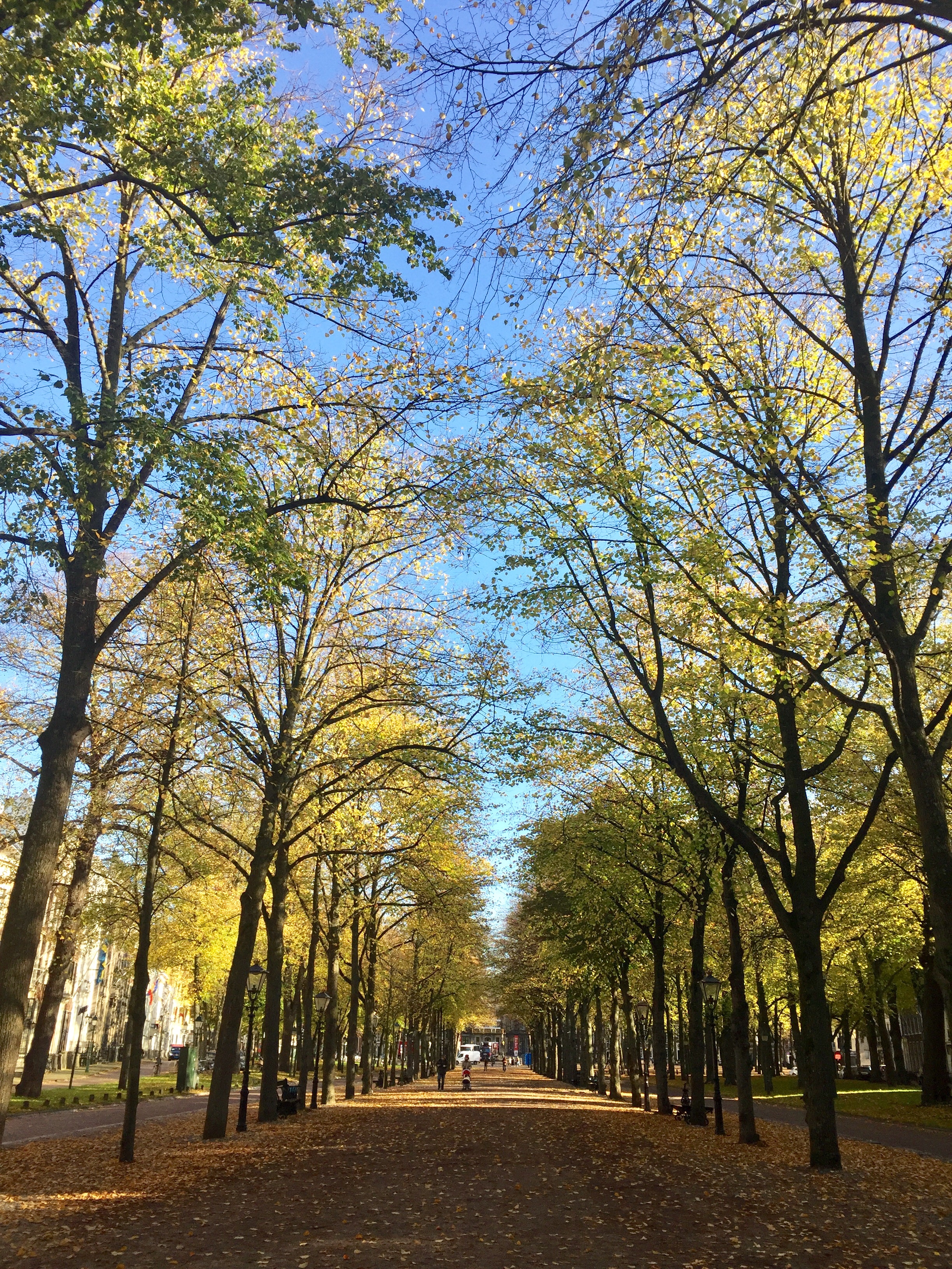 Di taman kota Den Haag