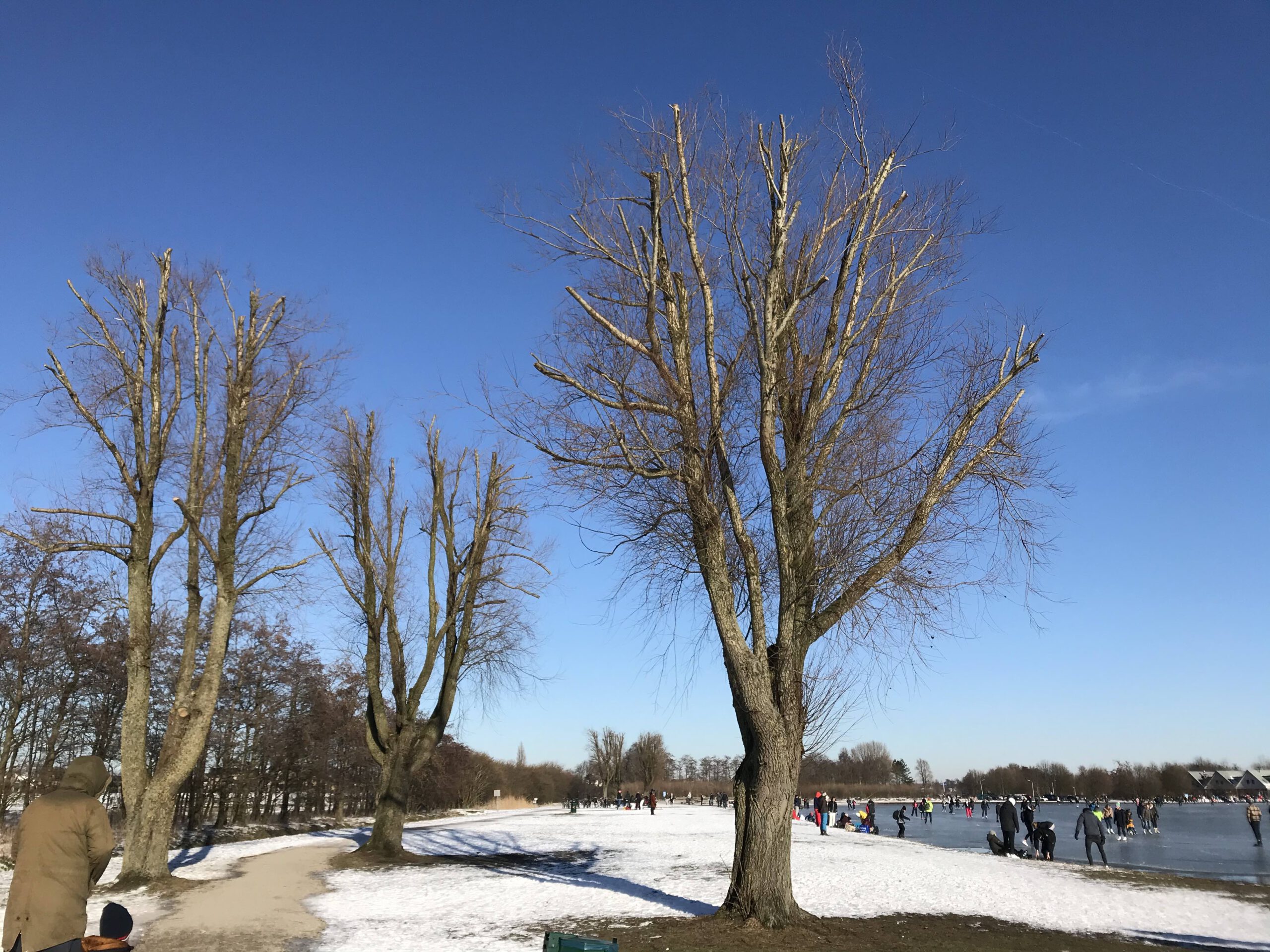Salju dan langit biru