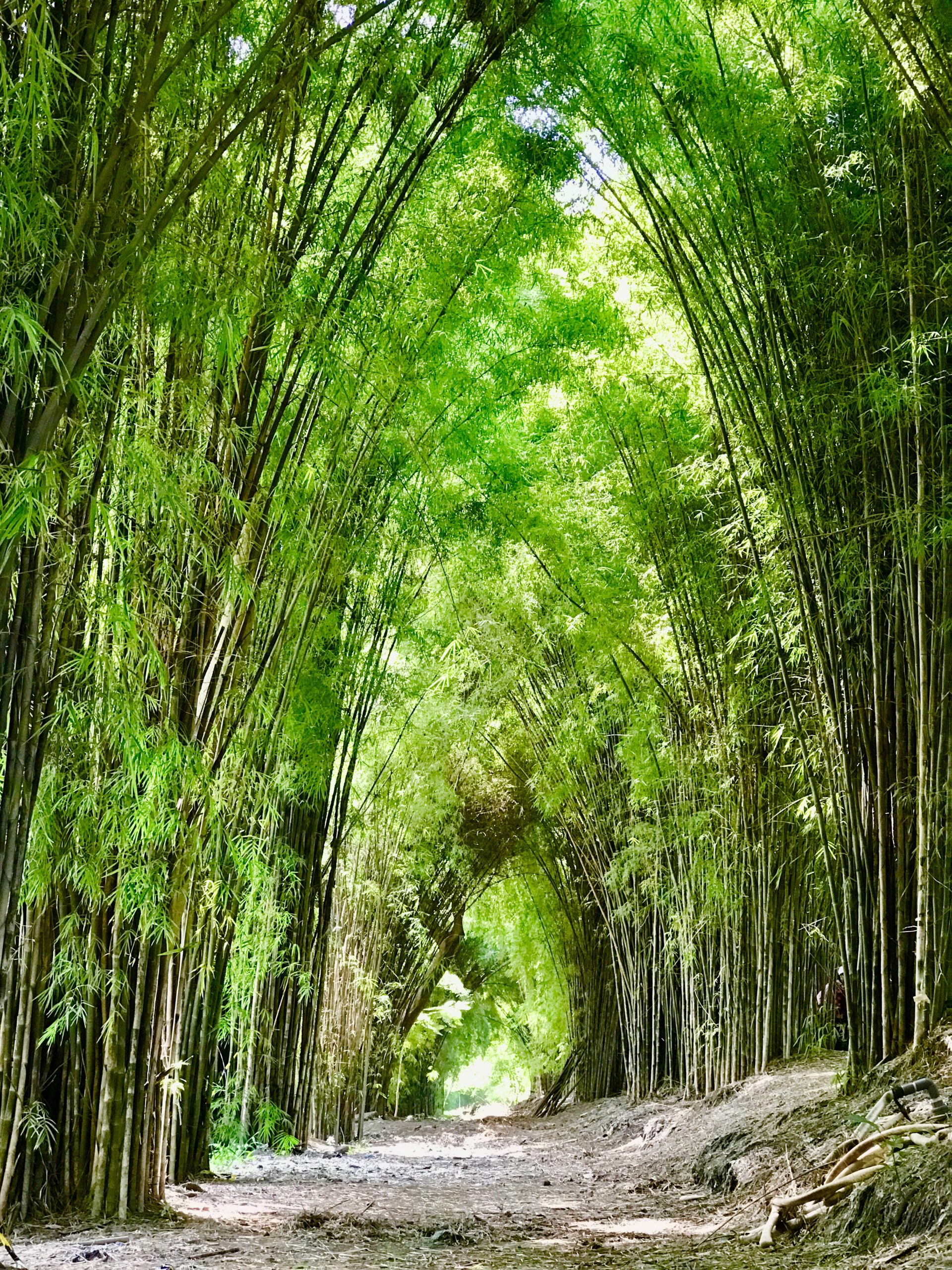 Taman Harmoni - Surabaya Timur