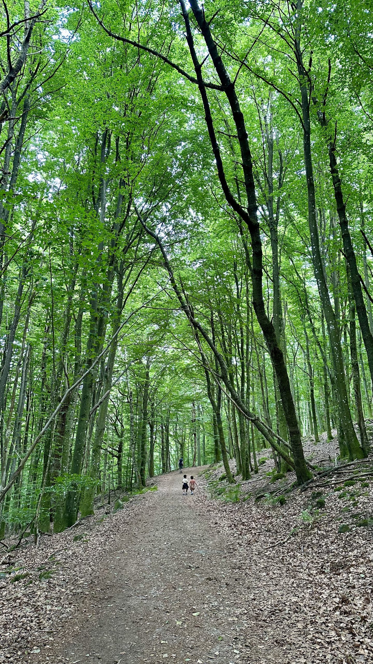 Soderasen National Park, Swedia.