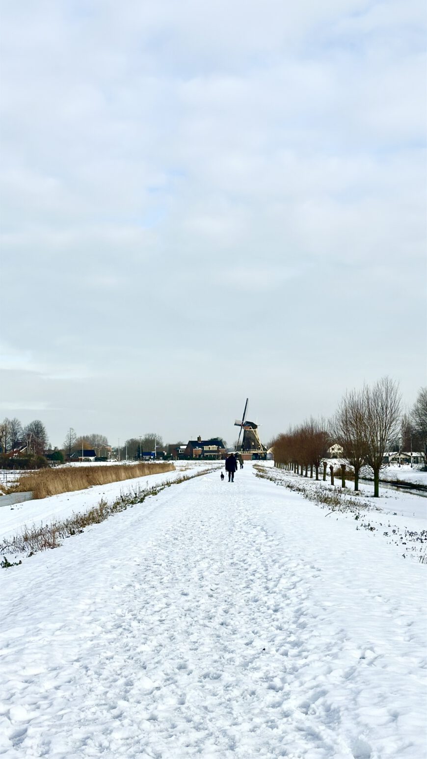 Salju Awal Tahun di Belanda